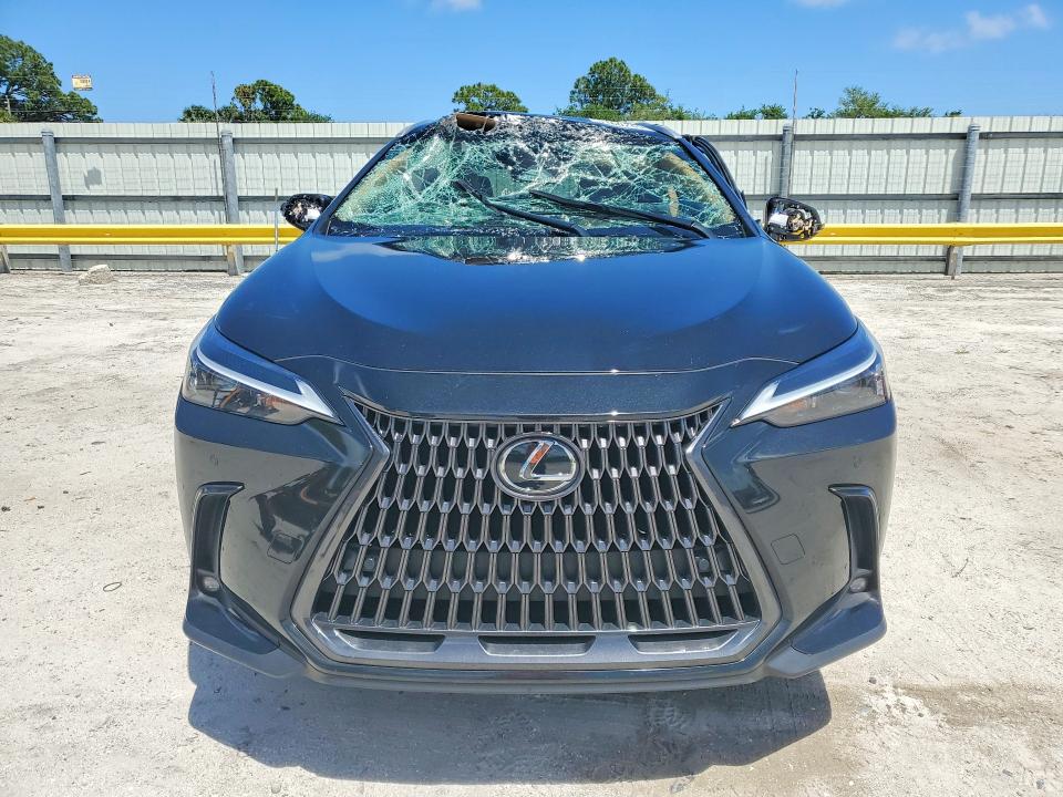 2025 Lexus Nx მანქანა იყიდება აუქციონზე, vin: 2T2GDCAZ2SC022880, აუქციონის ნომერი: 51602696