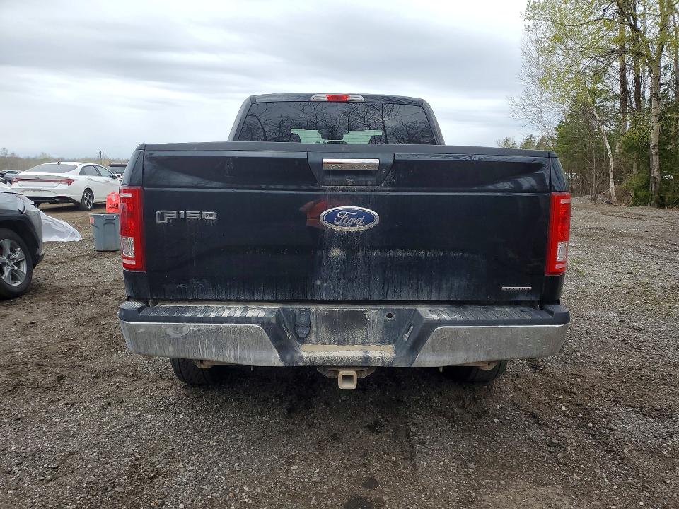 51503116 :رقم المزاد ، 1FTFW1EF3GFC91841 vin ، 2016 Ford F150 مزاد بيع