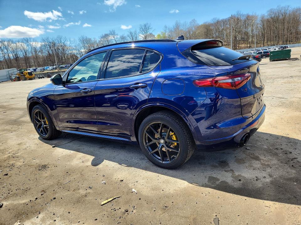 Продаж на аукціоні авто 2020 Alfa Romeo Stelvio, vin: ZASPAKBN8L7C86022, номер лоту: 48050106