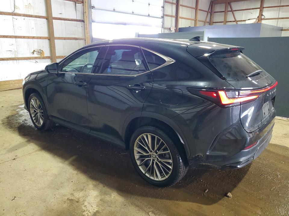 Продажа на аукционе авто 2022 Lexus Nx, vin: 2T2HGCEZ6NC010578, номер лота: 51186626