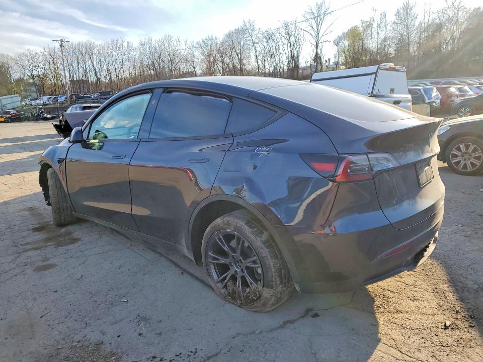Продажа на аукционе авто 2024 Tesla Model Y, vin: 7SAYGDEE3RF200155, номер лота: 49213956