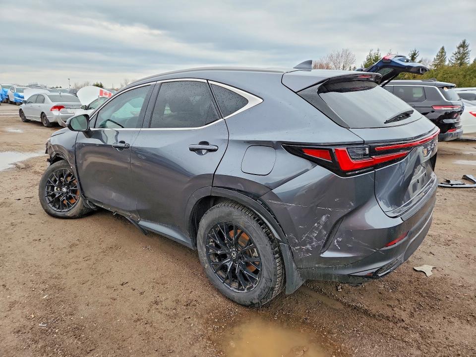Продажа на аукционе авто 2025 Lexus Nx 350h, vin: 2T2GKCEZ9SC045718, номер лота: 48678836