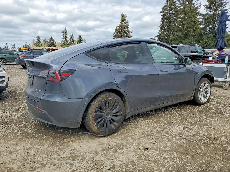 Продажа на аукционе авто 2023 Tesla Model Y, vin: 7SAYGDEE8PF964175, номер лота: 51131636