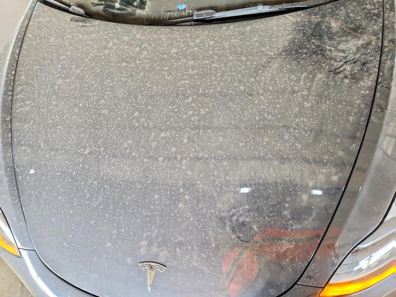 49755356 :رقم المزاد ، 5YJ3E1EA3PF712648 vin ، 2023 Tesla Model 3 مزاد بيع