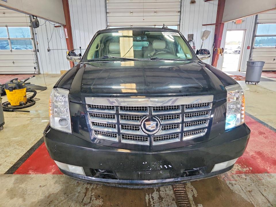 Продаж на аукціоні авто 2010 Cadillac Escalade, vin: 1GYUKJEF0AR262350, номер лоту: 50408476