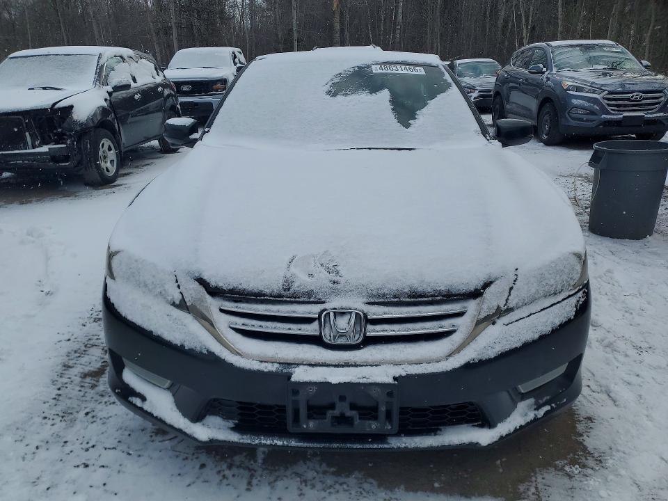 48631466 :رقم المزاد ، 1HGCR2F93DA801088 vin ، 2013 Honda Accord مزاد بيع