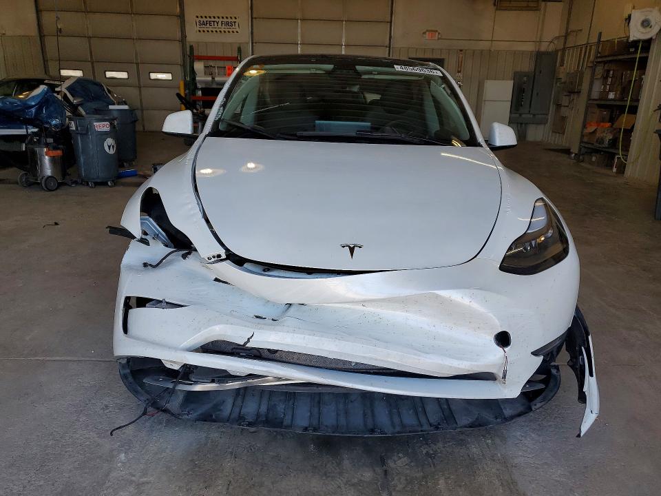 Продаж на аукціоні авто 2024 Tesla Model Y, vin: 7SAYGDEF8RA282597, номер лоту: 48569636