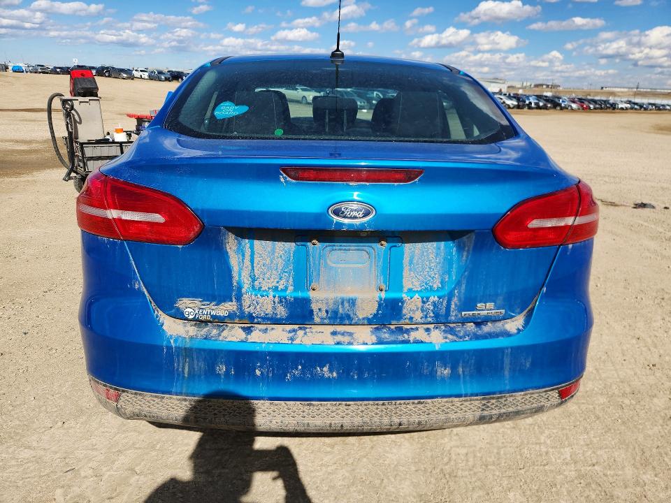 50564036 :رقم المزاد ، 1FADP3F24GL353573 vin ، 2016 Ford Focus مزاد بيع