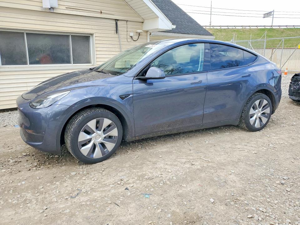 Продаж на аукціоні авто 2023 Tesla Model Y, vin: 7SAYGDEE3PA194609, номер лоту: 50728926