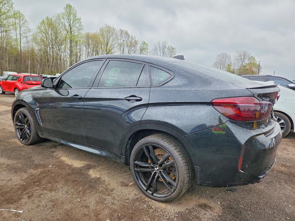 50812126 :رقم المزاد ، 5YMKW8C51G0R43738 vin ، 2016 Bmw X6 مزاد بيع