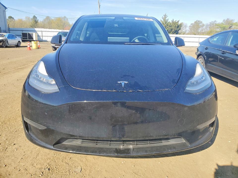 Aukcja sprzedaży 2021 Tesla Model Y, vin: 5YJYGDEE5MF219196, numer aukcji: 49557286