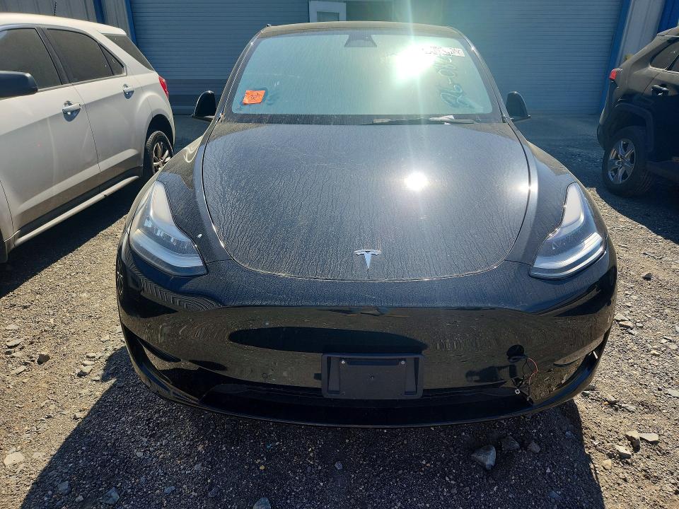49056546 :رقم المزاد ، 5YJYGDED8MF132724 vin ، 2021 Tesla Model Y مزاد بيع
