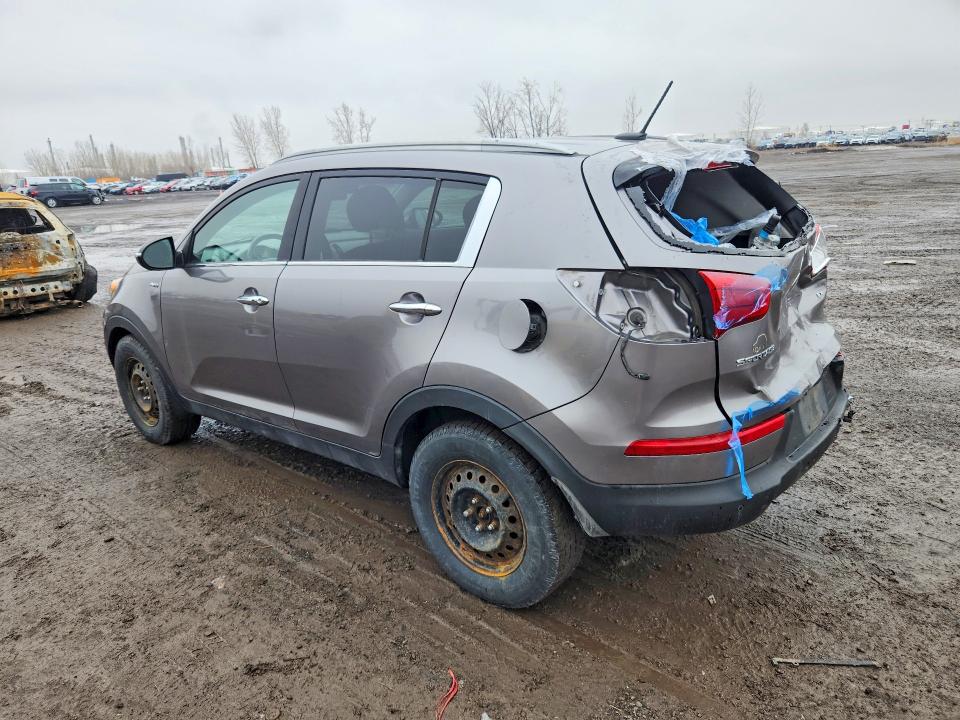 Продаж на аукціоні авто 2014 Kia Sportage, vin: KNDPCCAC9E7591556, номер лоту: 49213336