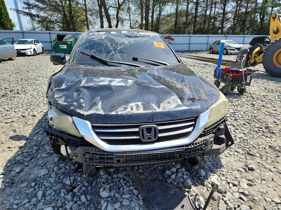 51013156 :رقم المزاد ، 1HGCR2F84DA239435 vin ، 2013 Honda Accord مزاد بيع