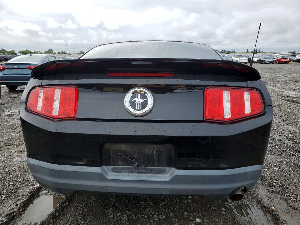 50802916 :رقم المزاد ، 1ZVBP8AN5A5100805 vin ، 2010 Ford Mustang مزاد بيع