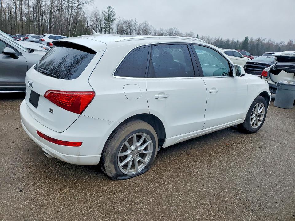 Продажа на аукционе авто 2010 Audi Q5, vin: WA1LKCFP4AA048796, номер лота: 49909506
