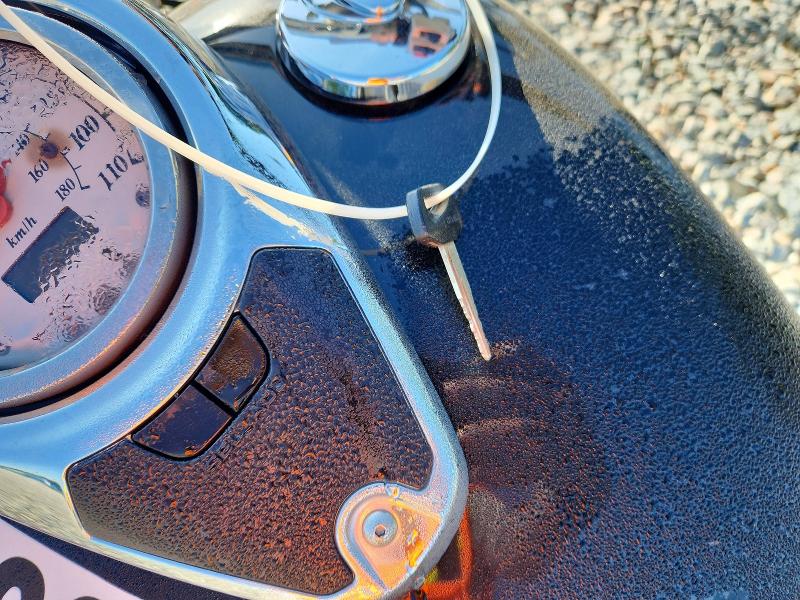 2005 Suzuki C50 მანქანა იყიდება აუქციონზე, vin: JS1VS55A652106151, აუქციონის ნომერი: 48395006