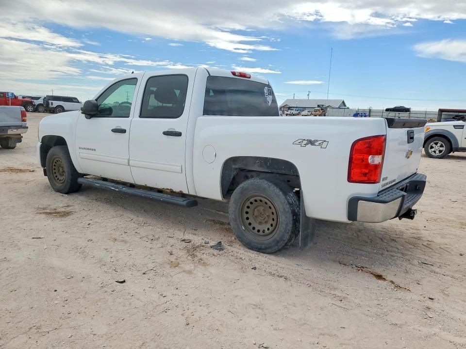 Продаж на аукціоні авто 2011 Chevrolet Silverado, vin: 3GCPKSE38BG164523, номер лоту: 50559606