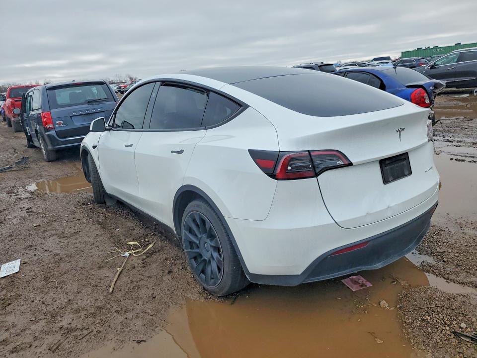 Продажа на аукционе авто 2023 Tesla Model Y, vin: 7SAYGDEE3PA177390, номер лота: 48523176