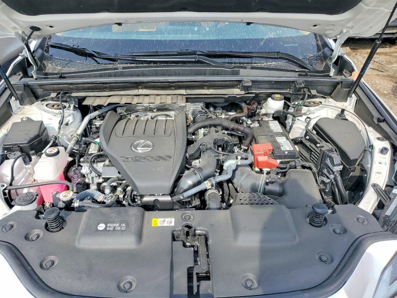 48695036 :رقم المزاد ، 2T2AGCEZ3SC061260 vin ، 2025 Lexus Nx 350 مزاد بيع