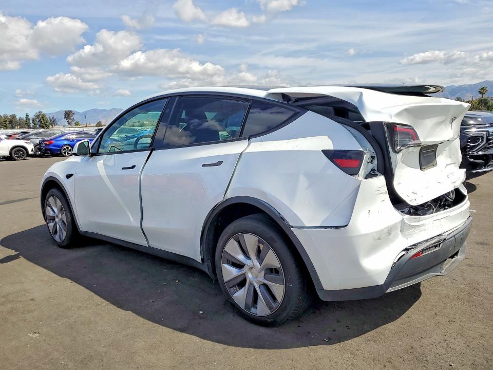 Продажа на аукционе авто 2024 Tesla Model Y, vin: 7SAYGDEE7RA263546, номер лота: 51009006