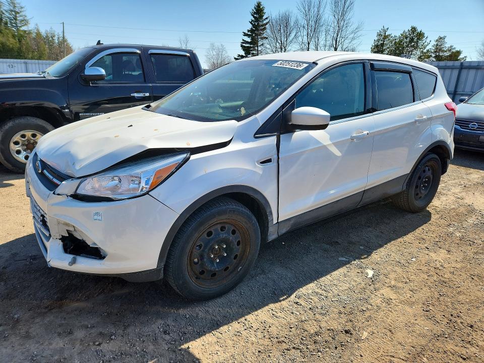 Aukcja sprzedaży 2013 Ford Escape, vin: 1FMCU0GX1DUD73885, numer aukcji: 50251236