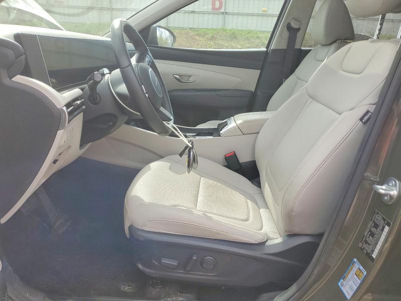 Продажа на аукционе авто 2025 Hyundai Tucson, vin: 5NMJCCDE2SH587503, номер лота: 50565556