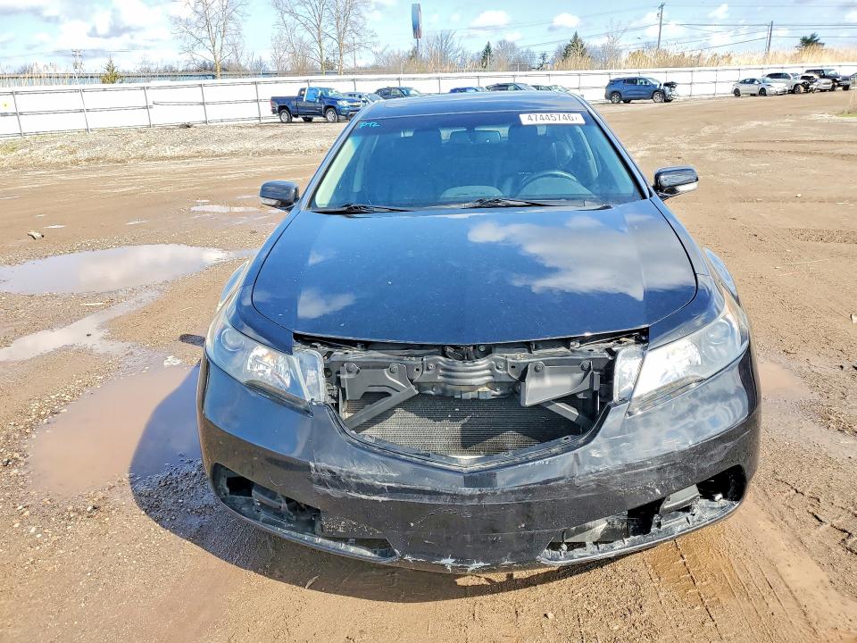 47445746 :رقم المزاد ، 19UUA8F58DA005464 vin ، 2013 Acura Tl مزاد بيع