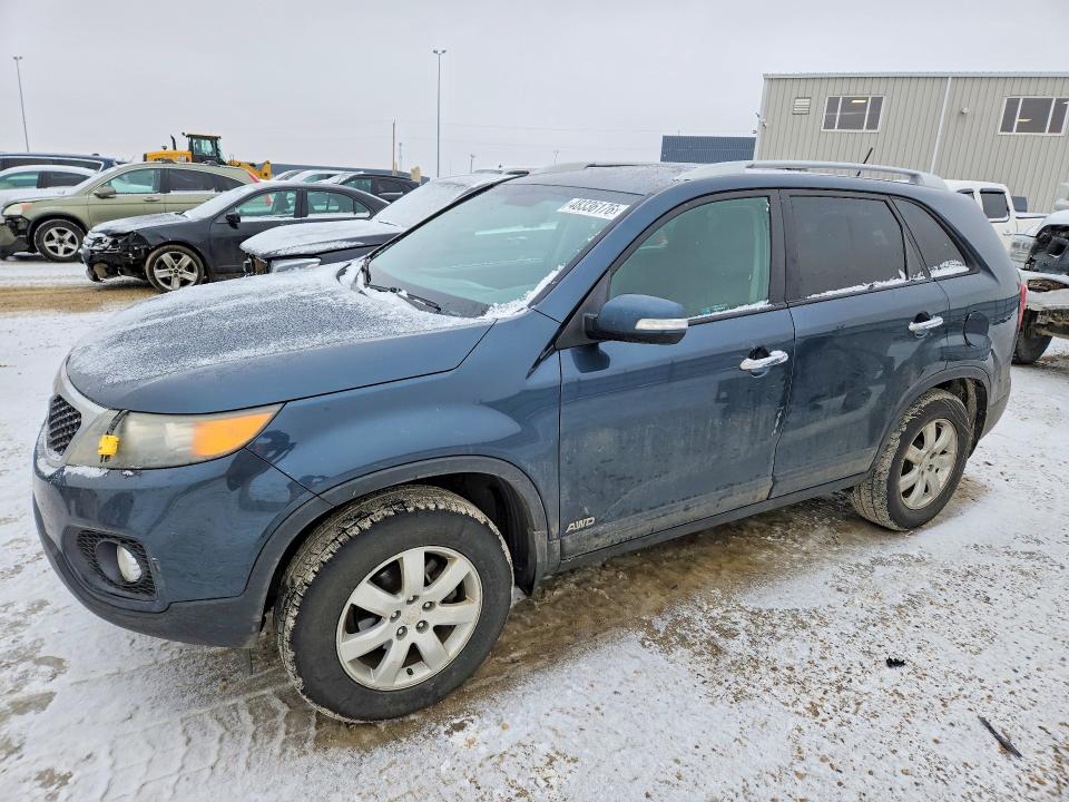 Продаж на аукціоні авто 2011 Kia Sorento, vin: 5XYKTDA22BG069115, номер лоту: 48336176