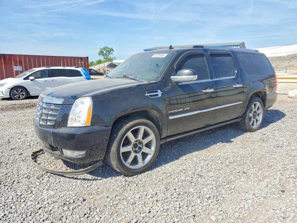 Aukcja sprzedaży 2010 Cadillac Escalade, vin: 1GYUKJEF3AR283760, numer aukcji: 49259086
