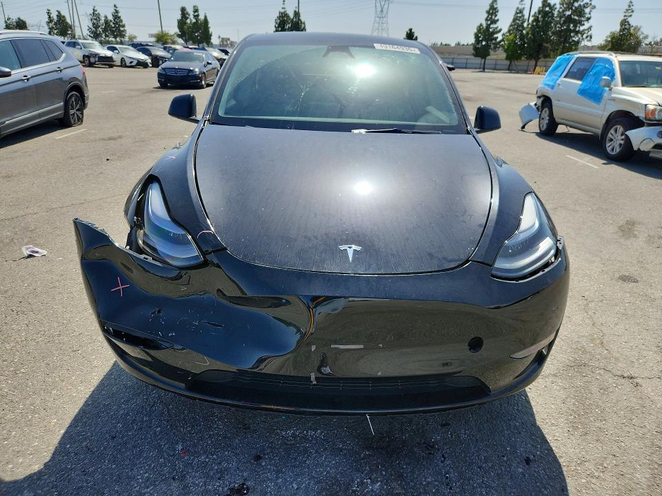Продажа на аукционе авто 2024 Tesla Model Y, vin: 7SAYGAEEXRF993887, номер лота: 49164936