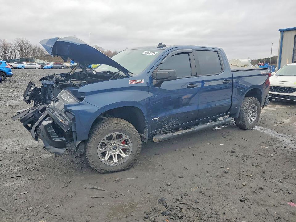 Aukcja sprzedaży 2020 Chevrolet Silverado, vin: 1GCPYFEL7LZ199738, numer aukcji: 48253626