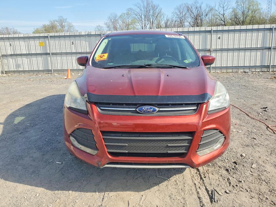 49619336 :رقم المزاد ، 1FMCU0GX9EUC81215 vin ، 2014 Ford Escape مزاد بيع