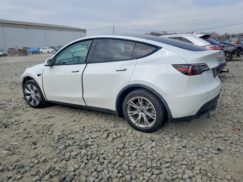 Aukcja sprzedaży 2023 Tesla Model Y, vin: 7SAYGDEE9PA105352, numer aukcji: 49396966