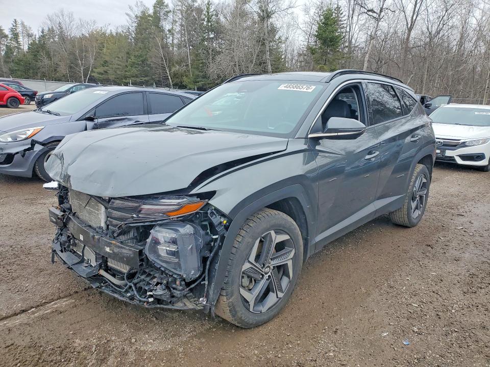 Продажа на аукционе авто 2023 Hyundai Tucson, vin: KM8JCCA15PU114319, номер лота: 48586576