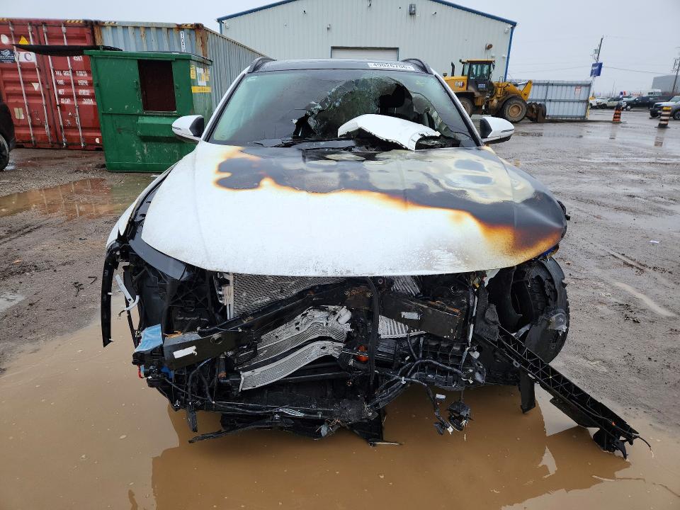 Продаж на аукціоні авто 2024 Hyundai Tucson Ultimate Phev 4dr Awd, vin: KM8JDDD26RU162194, номер лоту: 49026706
