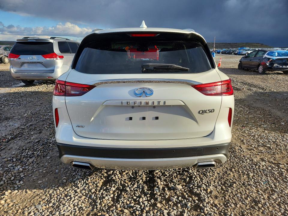 48483776 :رقم المزاد ، 3PCAJ5M39KF128325 vin ، 2019 Infiniti Qx50 مزاد بيع