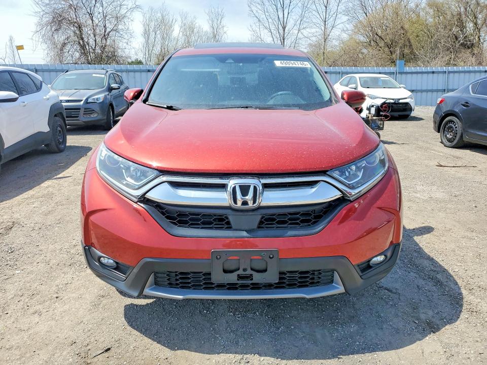 Продажа на аукционе авто 2019 Honda Cr-v, vin: 2HKRW2H81KH136171, номер лота: 49894746