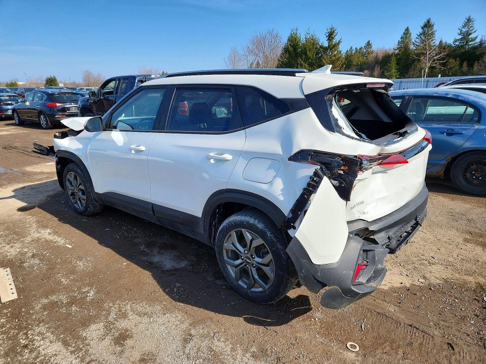 Продаж на аукціоні авто 2025 Kia Seltos, vin: KNDEPCAA8S7818662, номер лоту: 49186966