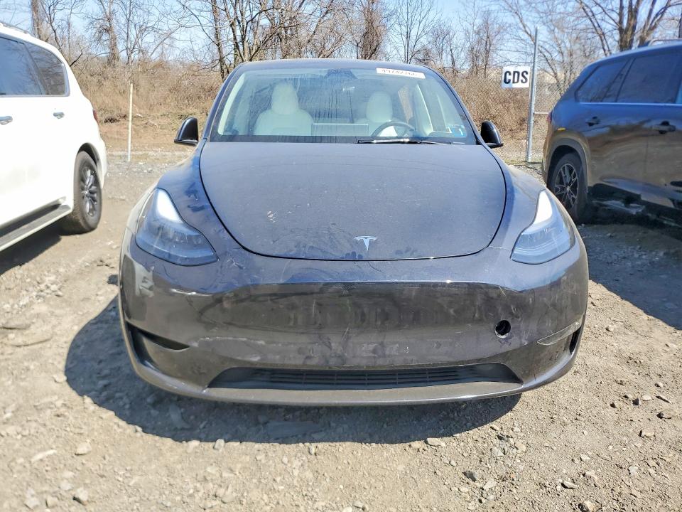 Aukcja sprzedaży 2025 Tesla Model Y, vin: 7SAYGDEF8SA350838, numer aukcji: 49742766