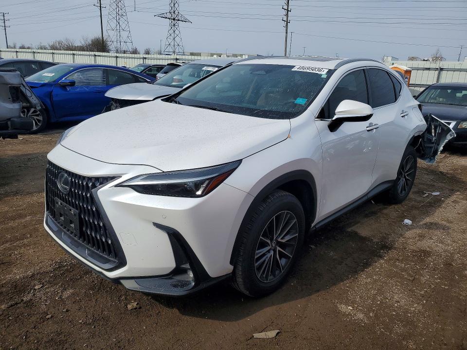 48695036 :رقم المزاد ، 2T2AGCEZ3SC061260 vin ، 2025 Lexus Nx 350 مزاد بيع