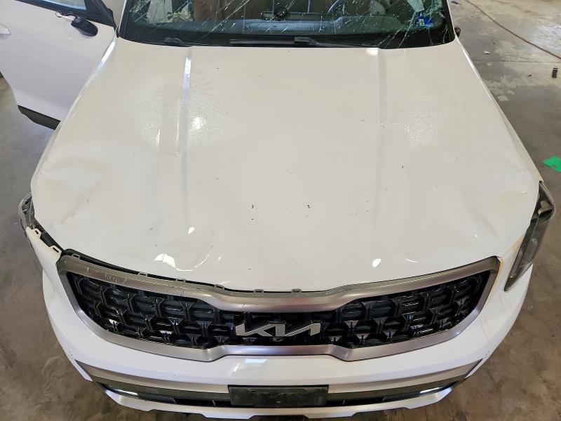 Продажа на аукционе авто 2023 Kia Telluride, vin: 5XYP5DGC0PG357125, номер лота: 50900606
