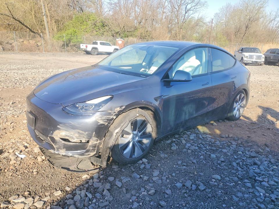 Продажа на аукционе авто 2024 Tesla Model Y, vin: 7SAYGDEE4RA215731, номер лота: 49796526
