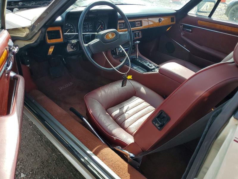 49012136 :رقم المزاد ، SAJNV5846EC117052 vin ، 1984 Jaguar Xjs مزاد بيع