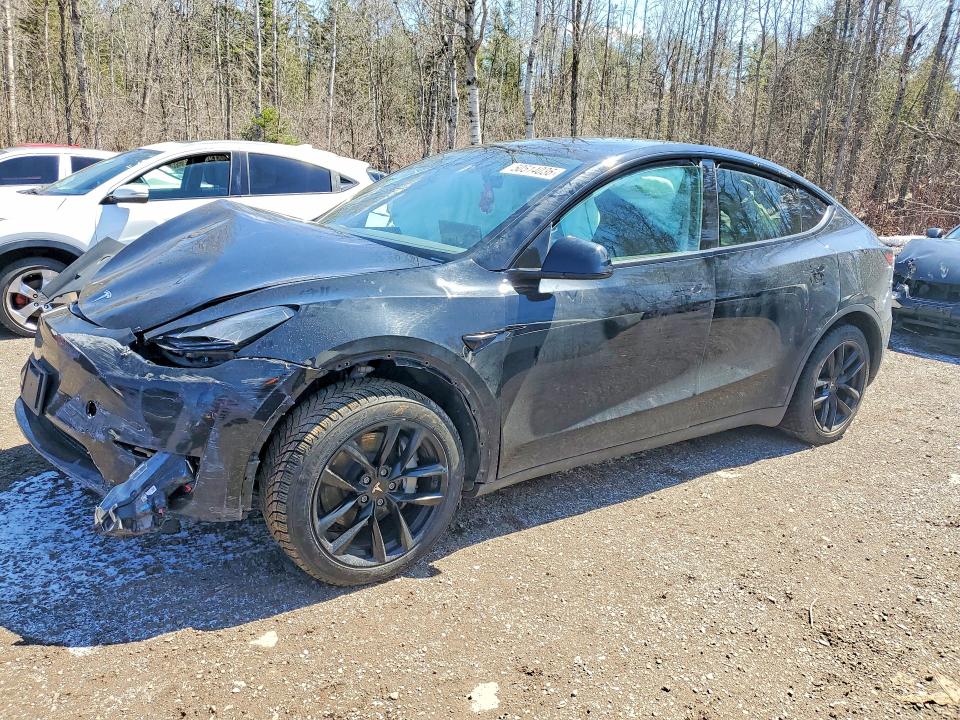 Aukcja sprzedaży 2023 Tesla Model Y, vin: LRWYGDEEXPC266657, numer aukcji: 50514036