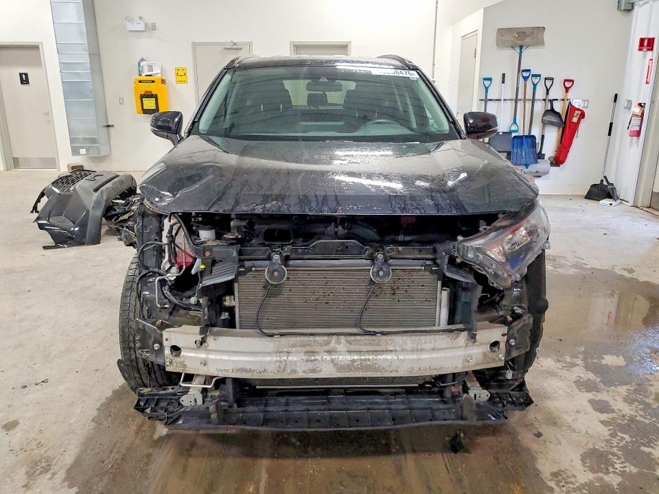Продажа на аукционе авто 2019 Toyota Rav4, vin: 2T3B1RFV2KC043851, номер лота: 49288476
