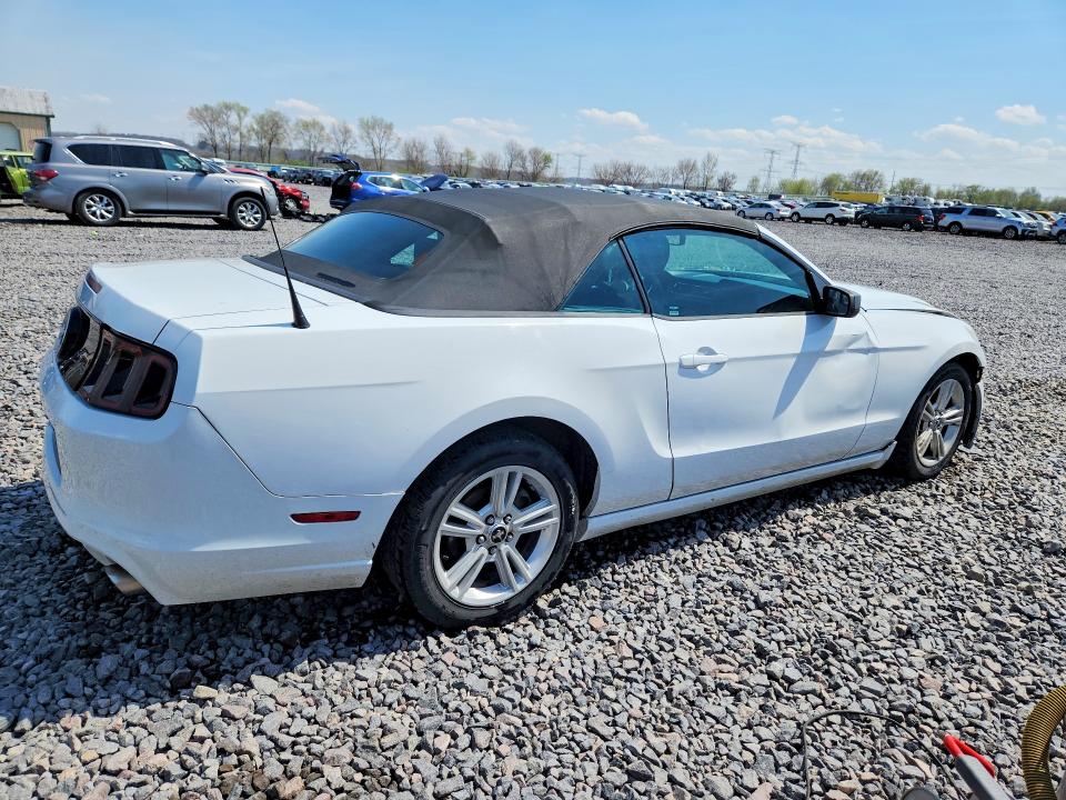 2014 Ford Mustang მანქანა იყიდება აუქციონზე, vin: 1ZVBP8EM3E5313923, აუქციონის ნომერი: 49248486