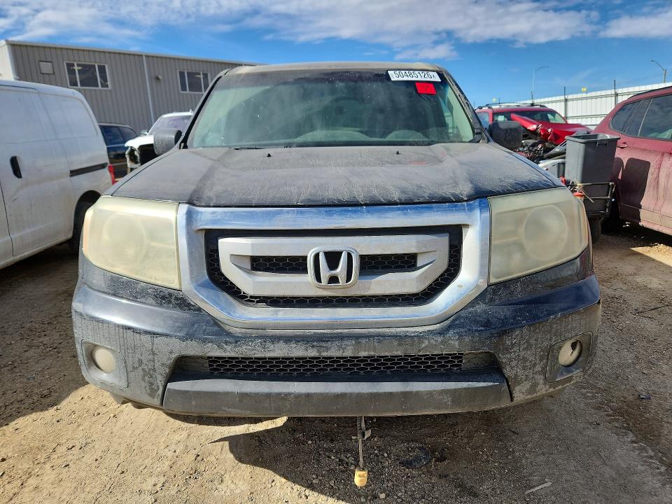 50485126 :رقم المزاد ، 5FNYF4H98AB504200 vin ، 2010 Honda Pilot مزاد بيع