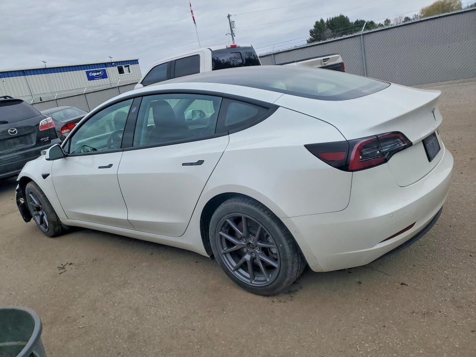 2021 Tesla Model 3 მანქანა იყიდება აუქციონზე, vin: 5YJ3E1EA2MF014320, აუქციონის ნომერი: 50077806