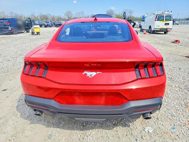 Продаж на аукціоні авто 2024 Ford Mustang, vin: 1FA6P8TH0R5145602, номер лоту: 49384656